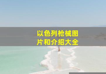 以色列枪械图片和介绍大全