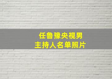 任鲁豫央视男主持人名单照片