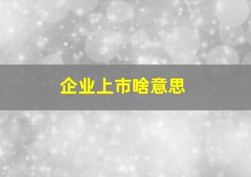 企业上市啥意思