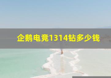 企鹅电竞1314钻多少钱