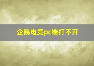 企鹅电竞pc端打不开