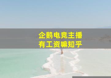 企鹅电竞主播有工资嘛知乎