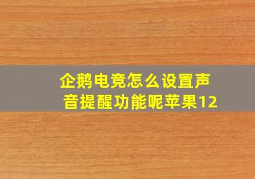 企鹅电竞怎么设置声音提醒功能呢苹果12