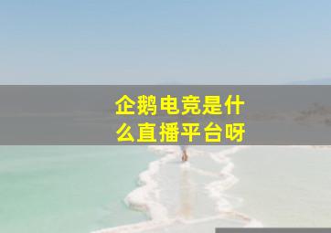 企鹅电竞是什么直播平台呀