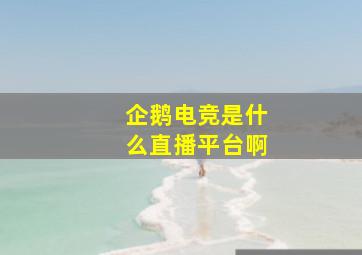 企鹅电竞是什么直播平台啊