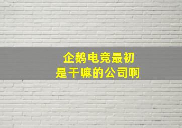 企鹅电竞最初是干嘛的公司啊