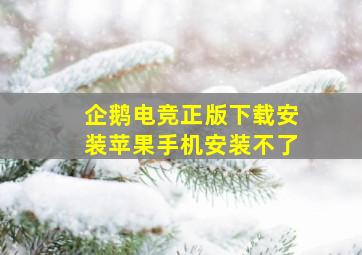 企鹅电竞正版下载安装苹果手机安装不了