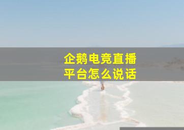 企鹅电竞直播平台怎么说话