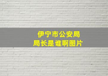 伊宁市公安局局长是谁啊图片