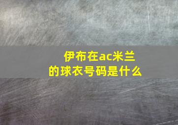 伊布在ac米兰的球衣号码是什么