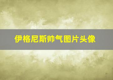 伊格尼斯帅气图片头像