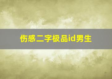 伤感二字极品id男生