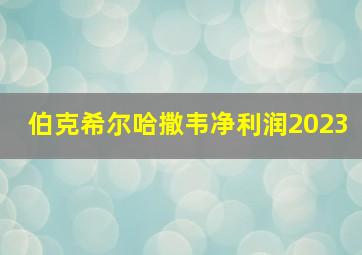 伯克希尔哈撒韦净利润2023