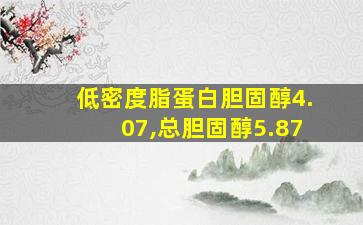 低密度脂蛋白胆固醇4.07,总胆固醇5.87