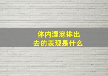 体内湿寒排出去的表现是什么