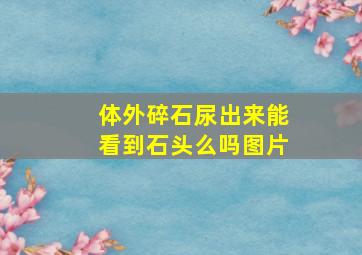 体外碎石尿出来能看到石头么吗图片