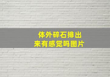 体外碎石排出来有感觉吗图片