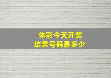 体彩今天开奖结果号码是多少