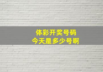 体彩开奖号码今天是多少号啊