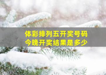 体彩排列五开奖号码今晚开奖结果是多少