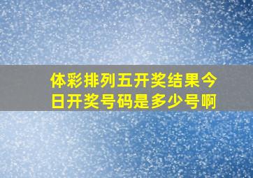 体彩排列五开奖结果今日开奖号码是多少号啊