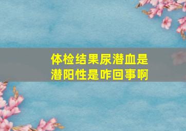 体检结果尿潜血是潜阳性是咋回事啊