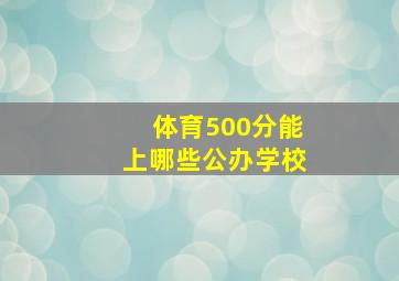 体育500分能上哪些公办学校