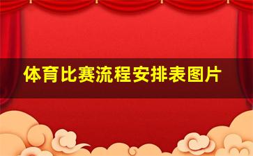 体育比赛流程安排表图片