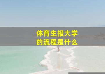 体育生报大学的流程是什么