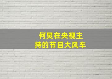 何炅在央视主持的节目大风车