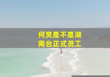 何炅是不是湖南台正式员工