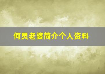 何炅老婆简介个人资料