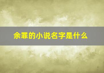 余罪的小说名字是什么