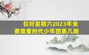 你好星期六2023年免费观看时代少年团第几期