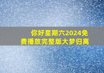 你好星期六2024免费播放完整版大梦归离