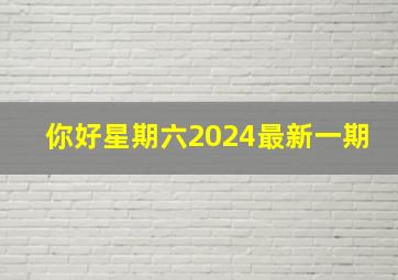 你好星期六2024最新一期