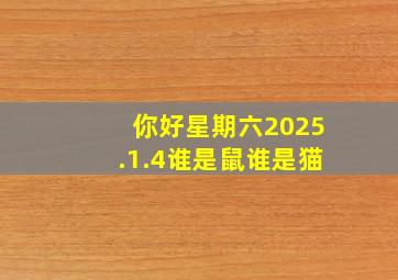 你好星期六2025.1.4谁是鼠谁是猫