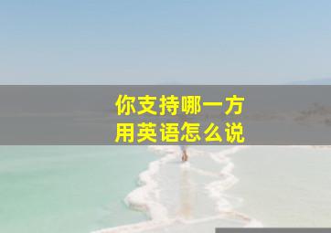 你支持哪一方用英语怎么说