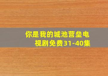 你是我的城池营垒电视剧免费31-40集