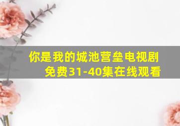 你是我的城池营垒电视剧免费31-40集在线观看