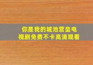 你是我的城池营垒电视剧免费不卡高清观看