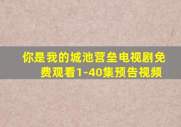 你是我的城池营垒电视剧免费观看1-40集预告视频