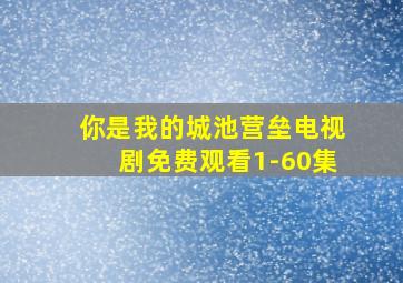 你是我的城池营垒电视剧免费观看1-60集