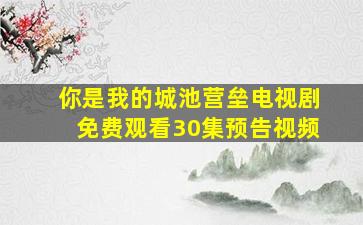 你是我的城池营垒电视剧免费观看30集预告视频