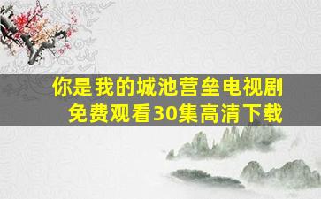 你是我的城池营垒电视剧免费观看30集高清下载