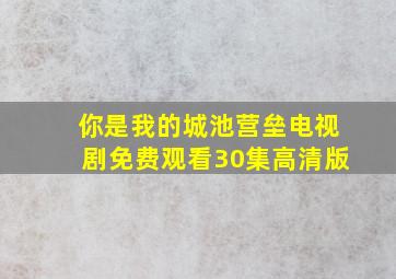 你是我的城池营垒电视剧免费观看30集高清版