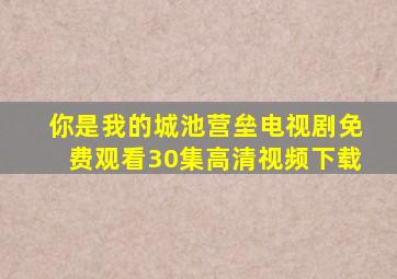 你是我的城池营垒电视剧免费观看30集高清视频下载