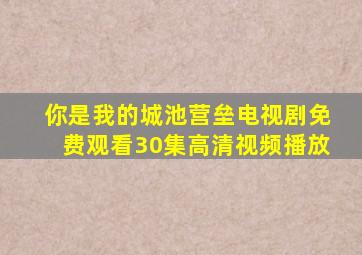 你是我的城池营垒电视剧免费观看30集高清视频播放