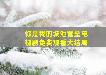 你是我的城池营垒电视剧免费观看大结局