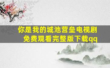 你是我的城池营垒电视剧免费观看完整版下载qq